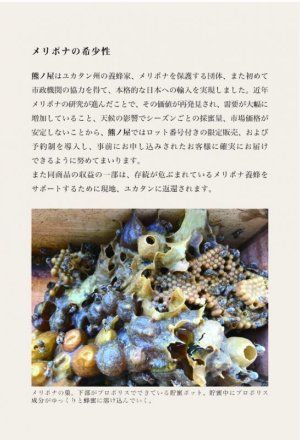 画像4: 熊ノ屋　メリポナ