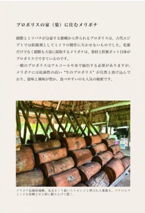 画像3: 熊ノ屋　メリポナ