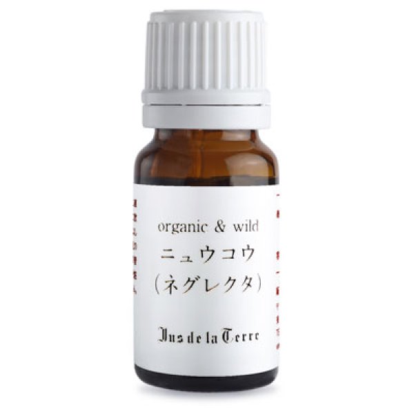 画像1: ジュドラテール　ニュウコウ　ネグレクタ（フラキンセンス）　精油　5ml (1)