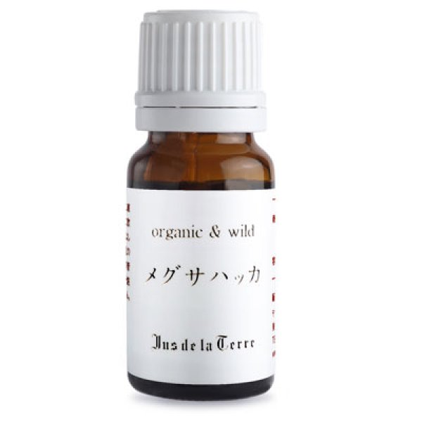 画像1: ジュドラテール　オーガニック　メグサハッカ（ペニーロイヤル）　精油　5ml (1)